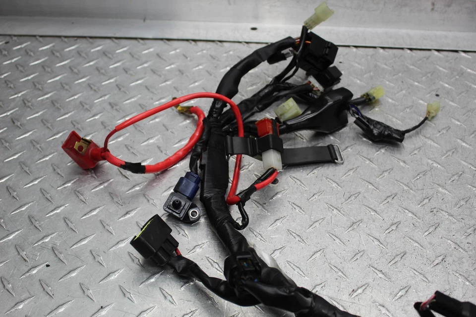Yamaha FZ1-S 2006 arnés de cableado Foto 2 de 4