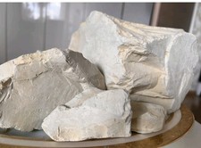 Sepiaschalen gebrochene St&uuml;cke naturwei&szlig; (Vogelfutter/Mineral)
