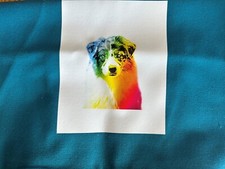 Bolso de Mano Rainbow Australian Shepherd on Teal de Lona Algodón 16 x 15