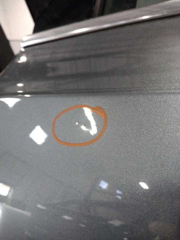 Used Rear Left Door Assembly Rear Side fits: 2017 Volvo S90 w/o lower moulding R - Imagem 2 de 4