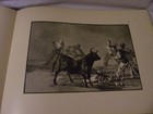 Picture 3 of 10