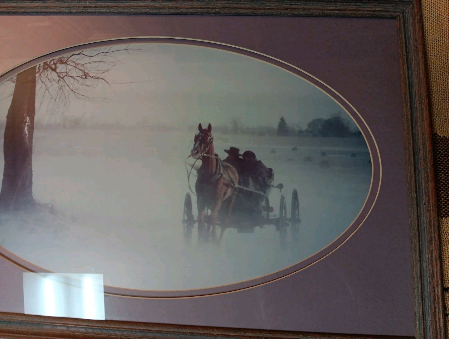 Picture 6 of 11