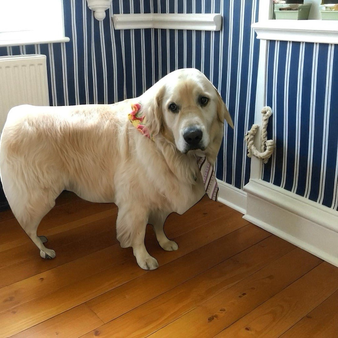 American Eagle Light Flannel Soft Button Down Men… - image 11