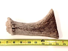 natural real moose antler crafts handle carving flint knapping antlers gift diy