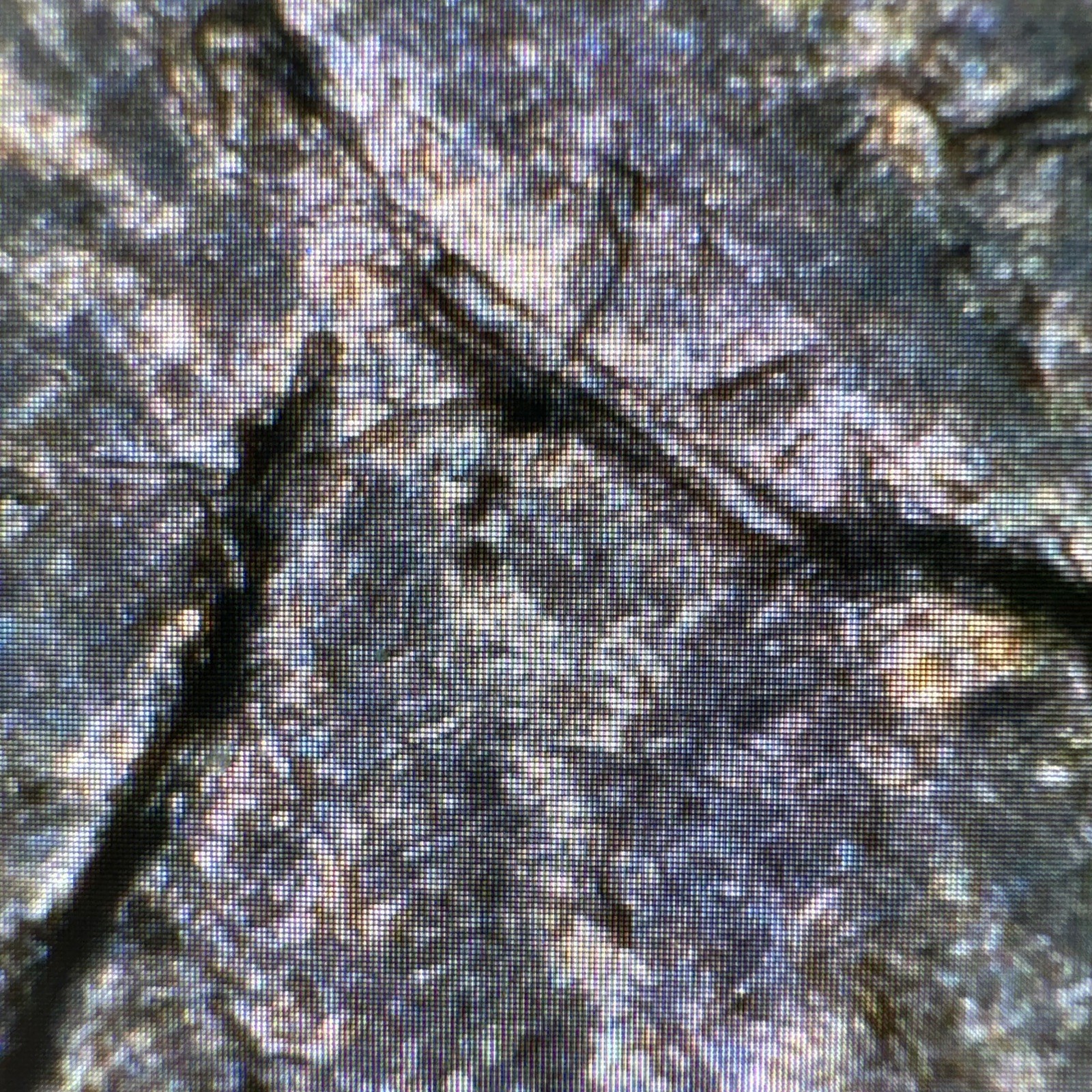 Foto 13 di 19