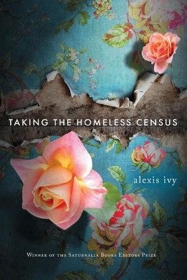 Alexis Ivy Taking the Homeless Census (Taschenbuch)