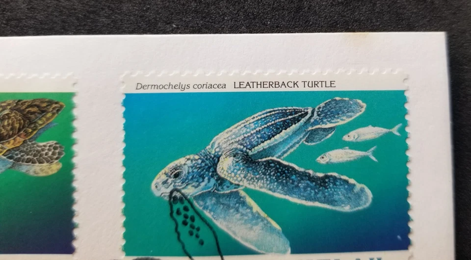 *FREE SHIP Tokelau Green Sea Turtles 1995 Marine Life Ocean Fish (FDC) *see scan - Image 2 of 4
