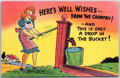 Lady Fetching From The Well For A Pail Of Water Comic Card Postcard