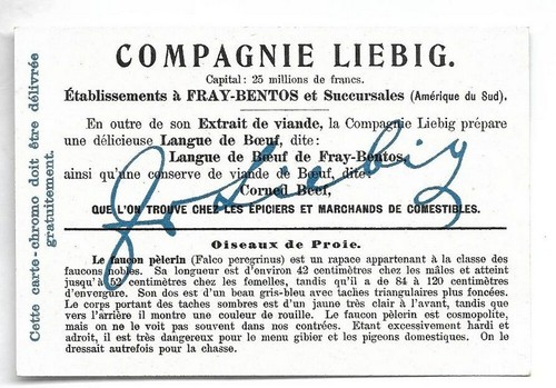Faucon pèlerin - - Oiseaux de proie - Chromo Liebig - Trade card - Imagen 2 de 2