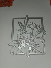 Beautiful Lilly Die Used A Couple Of Times Only