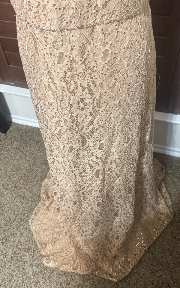 Vestido Anny Lee Beige Encaje Lentejuelas Formal Plus 3XL Madre de la Novia Novio Foto 3 de 4