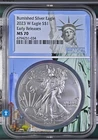 2023 W Burnished Silver Eagle NGC MS70 First Day  Statue Of Liberty Core POP 50