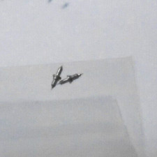 2 HAMILTON 12 SIZE BALANCE STAFFS 1250 SR PIVOT: 9 NOS --BB-981