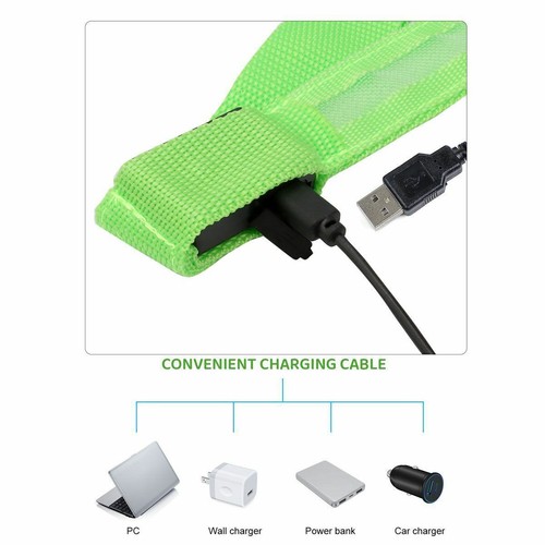 Guinzaglio LED Lampeggiante per Cani Illumina Luminoso Notte Animali Domestici Sicurezza Passeggio Nylon US - Foto 2 di 16