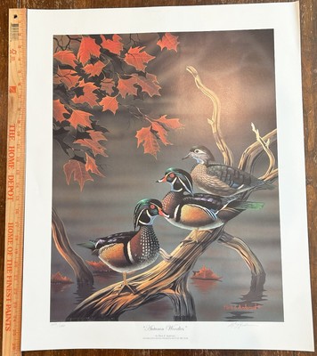 Wildlife Prints - Numbered & Signed - Various Artists - Your Choice