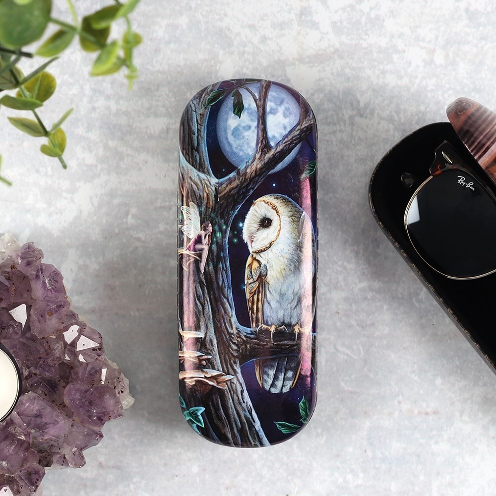 Fairy Tales  by Lisa Parker Owl Fairy & Full Moon Hard Glasses Sunglasses Case