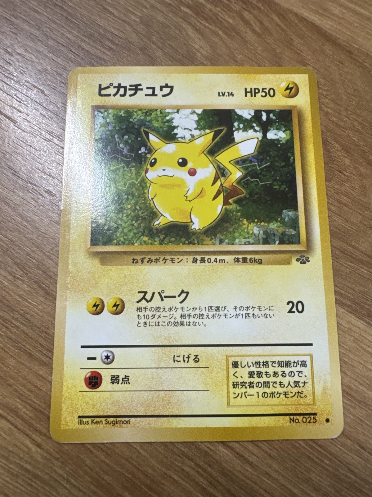 Pokémon Pikachu No.25 Jungle Set Japanese
