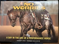 Horse Training DVD - Clinton Anderson A Day In The Life Of A Performance Horse