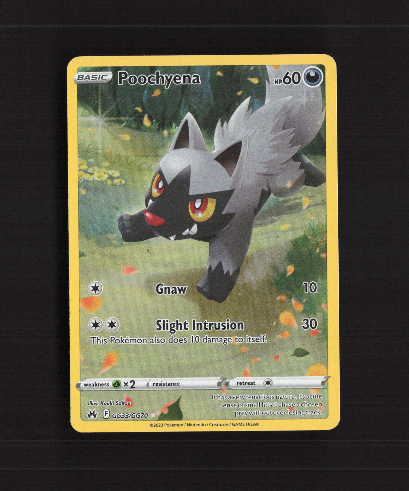Poochyena GG33/GG70 Crown Zenith Full Art Ultra Rare Holo Pokemon Card NM
