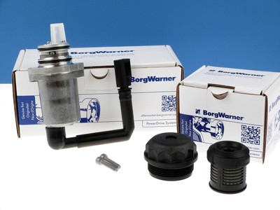 BORGWARNER Vorladepumpe Filter Set Haldex Gen I Lamellenkupplung Pumpe 02D525557