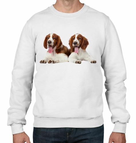 springer spaniel dog jumper