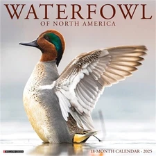 Waterfowl 2025 12 X 12 Wall Calendar (Calendar)