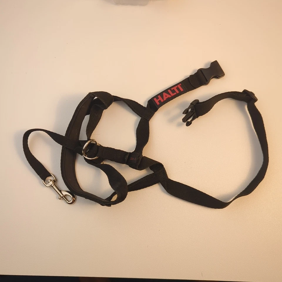 Halti Headcollar Perro Talla 4 Negro Deja de Tirar Amablemente Foto 3 de 4