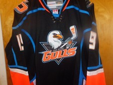 Anaheim Ducks/San Diego Gulls #19 Troy Terry AHL Jersey