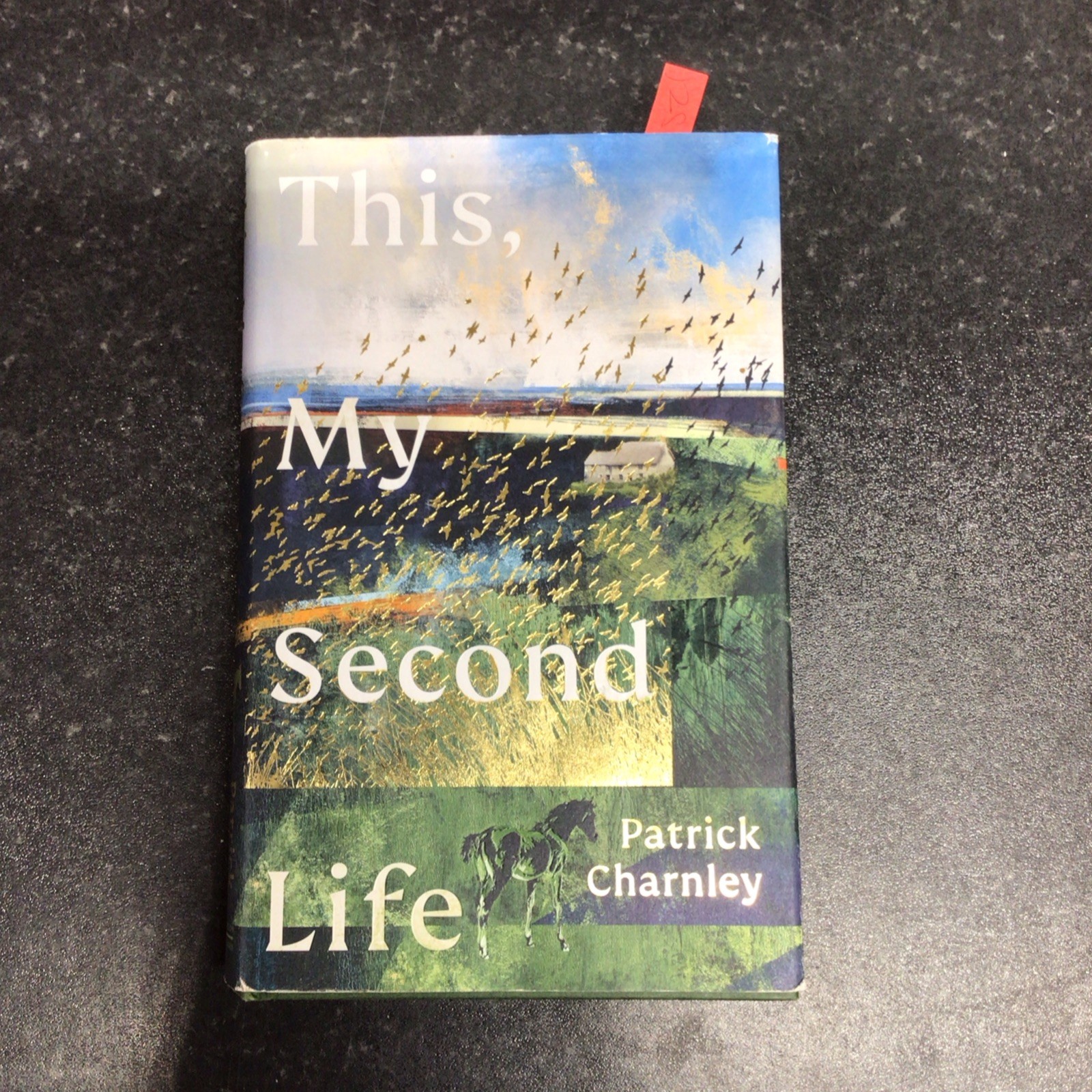 This, My Second Life by Patrick Charnley Hardcover Book