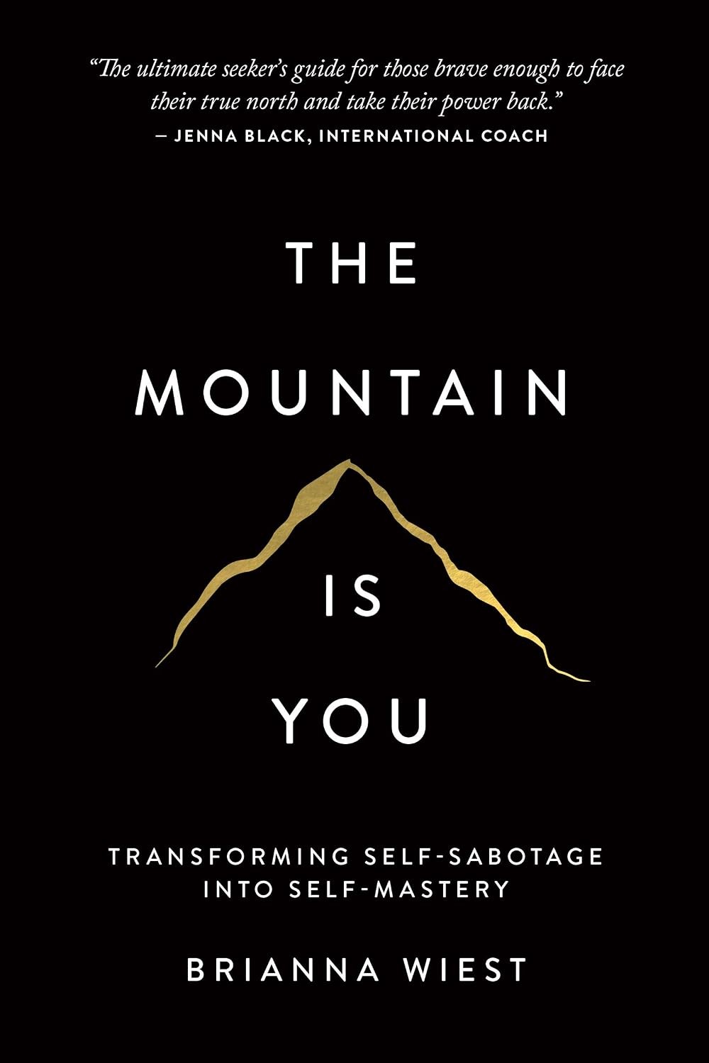 The Mountain Is You: Transforming Self-Sabotage Into Self-Mastery - Image 2