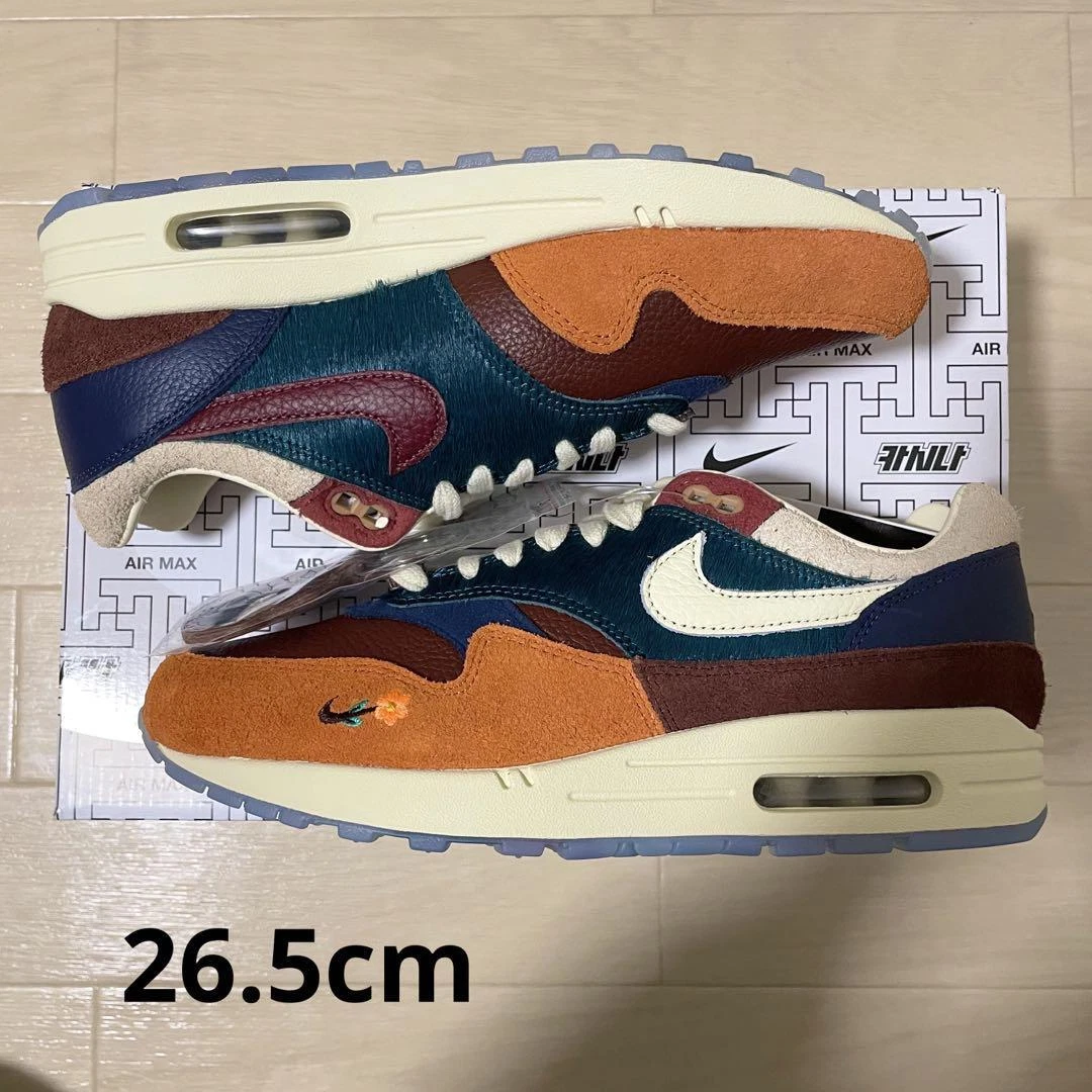 Kasina × Nike Air Max 1