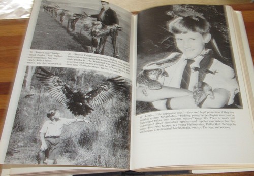 The GREAT ExTerMiNaTiOn ~ A J Marshall (ed) Wildlife 1st HbDj 1966 HERE in MELB - Picture 9 of 12