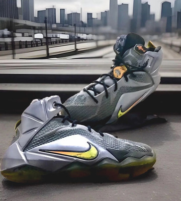 lebron 12 flight