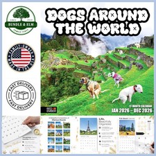 2026 Funny Dogs Wall Calendar: Hilarious Pups in Beautiful Places - 12" x 24"