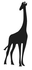 Giraffe Vinyl Decal Sticker Animal Zoo Cute Window Iphone Car Choose Size/Color