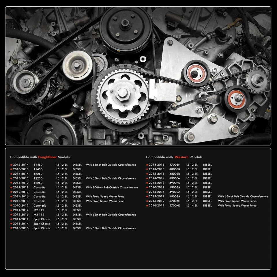 Kit de componentes de acionamento por correia Serpentine 5 peças para Freightliner 122SD 14-19 Cascadia - Imagem 2 de 4