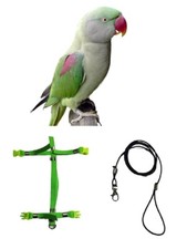 LARGE ALEXANDRIAN elastic plastic attachments detachable parrot harness