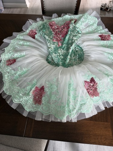 Mint Green Sleeveless Floral Sequin Dance Dress Tutu Size SA