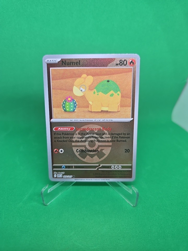 Pokemon Ascended Heroes  Numel 027/217 Reverse Holo Quick ball Pattern