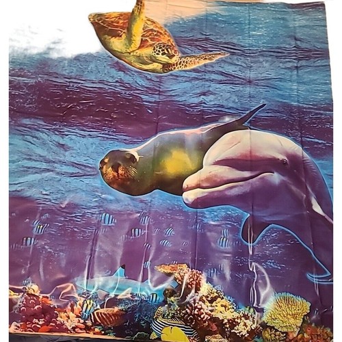 Under The Sea Dolphin Seal Turtle Vinyl Photo Backdrop 36" x 36" - Picture 2 of 7