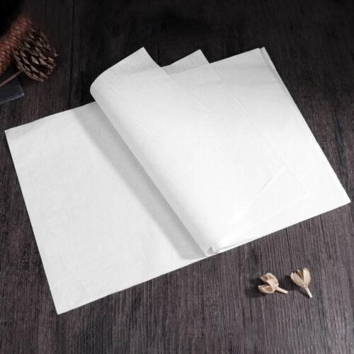 Calligraphy and Painting Rice Paper Chinese Brush Writing Xuan Doufang