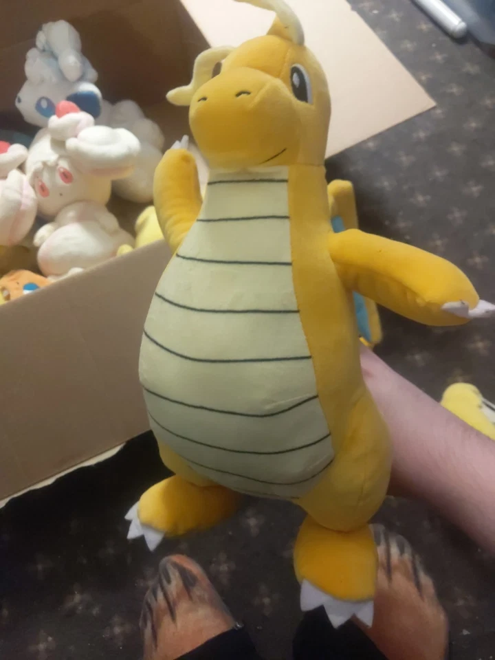 Lote de 7 Peluches Pokemon Y Toon Link Foto 4 de 4