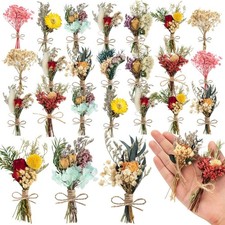 20 Pcs Dried Flowers for Crafts, Mini Dried Flowers Bouquet Bulk for Vase DIY...