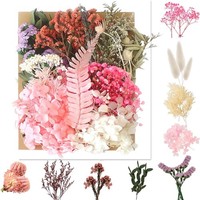 NatüRliche Trockenblumen Bastelset Kunst Diy Karten Blumen Dekoration