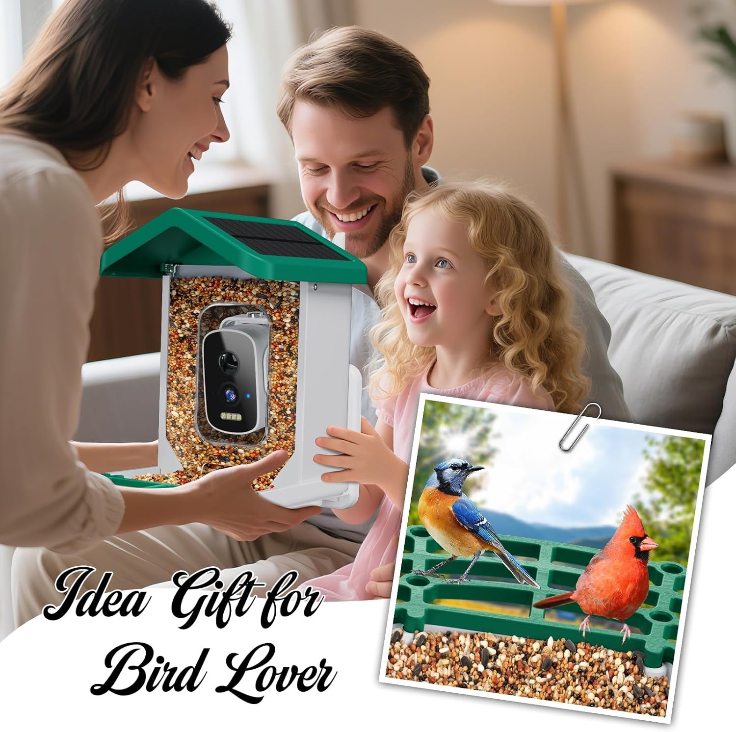 Smart Bird Feeder with Camera, AI Species Identification Solar Green 
