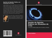 Yulia Anikina | GestãO Da OpiniãO PúBlica Em SituaçõEs De Crise | Taschenbuch
