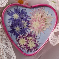 12PCS real Pressed dry Flower for art craft, natural 3 colors FSS06