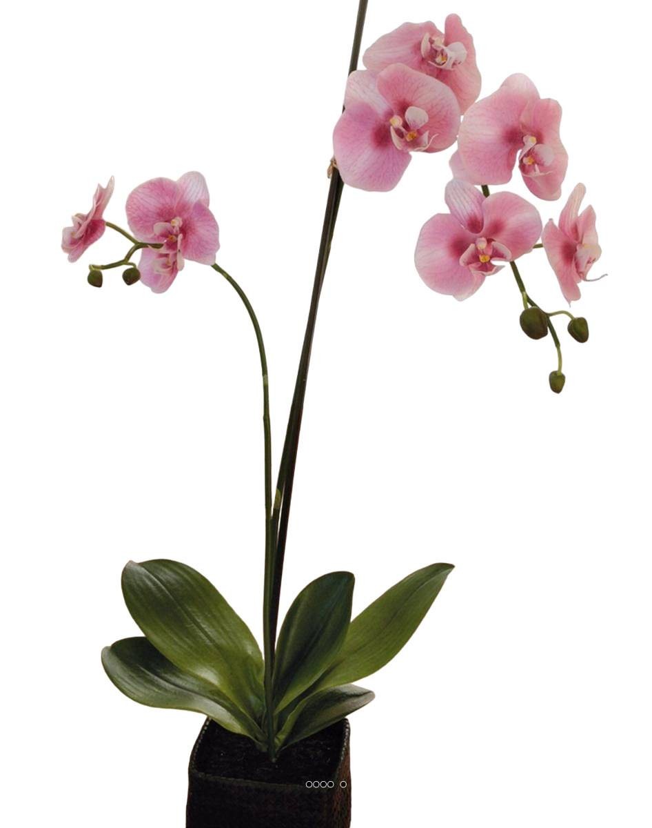 Orchidée artificielle haut de gamme 75 cm Rose-crème avec pot design