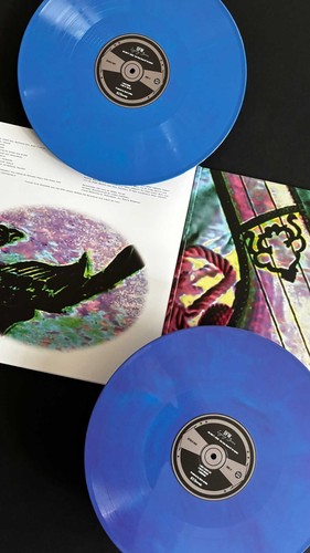 MC 900 Ft Jesus - One Step Ahead Of The Spider Limited Edition 2LP Color Vinyl - Bild 6 von 12