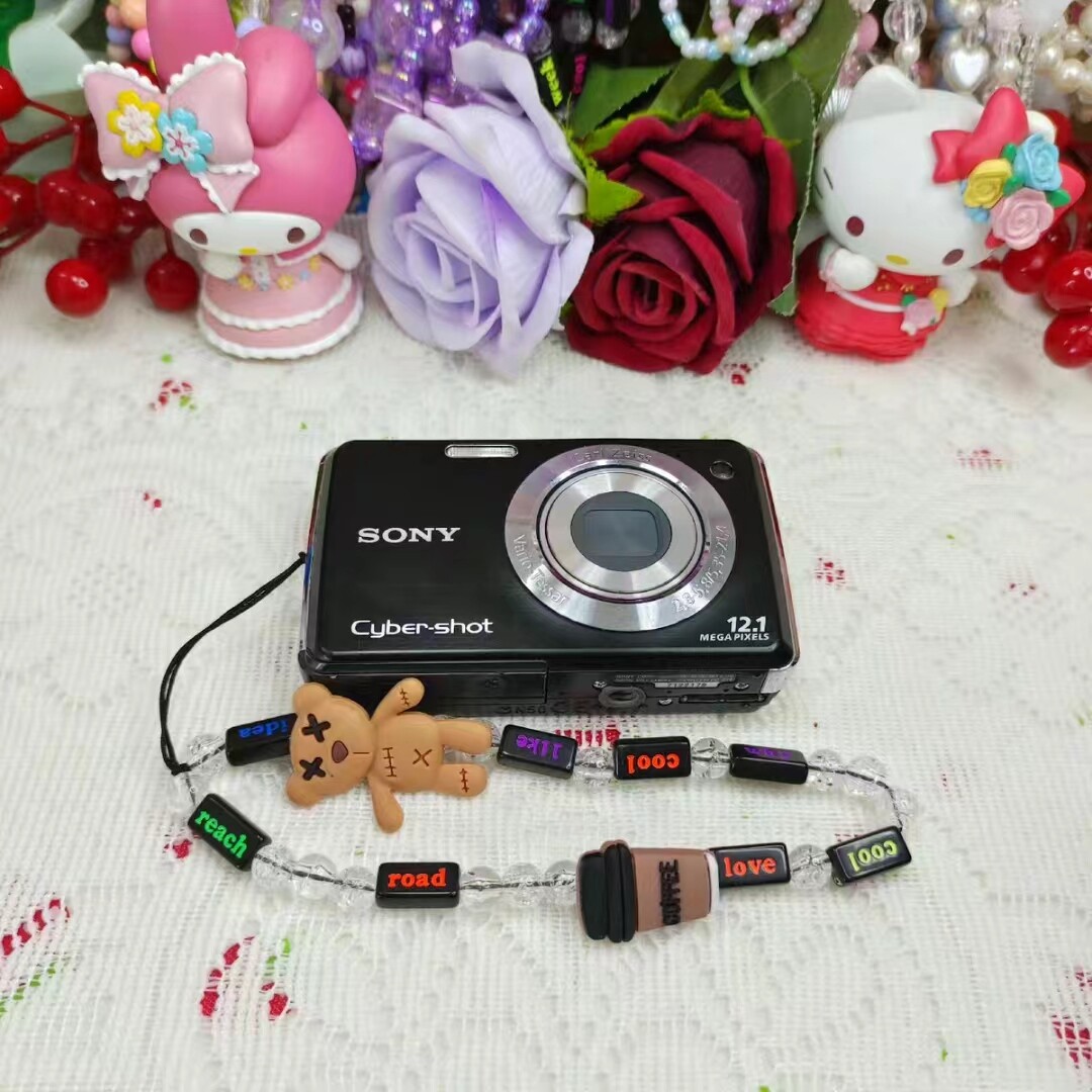 Sony Cyber-Shot DSC-W220 12.1MP CCD Vintage Digital Camera
